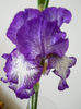 DSCN4472