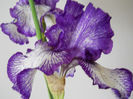 DSCN4475