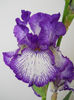 DSCN4476