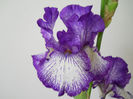 DSCN4477