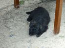 Picture 026