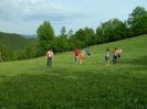 Picture 049