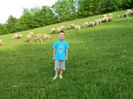 Picture 065
