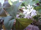 DSC05403