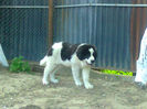 Photo2464