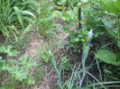 DSCF0698