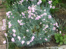 DSCF0700