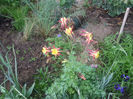DSCF0710