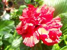 DSCN4057