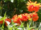 DSCN4082
