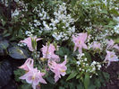 DSC03691