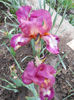 DSCN4478