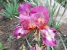 DSCN4479