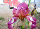 DSCN4481