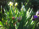 2013-05-01 09.45.37