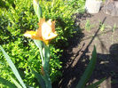 2013-05-01 09.46.16