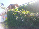 2013-05-01 09.48.48