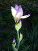 2013-05-02 19.50.27