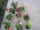 2013-05-02 19.52.37