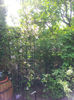 2013-05-05 10.42.09