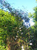 2013-05-07 19.21.42