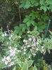 2013-05-09 12.46.05