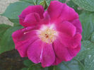 DSCF0725