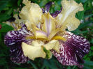 DSC04861