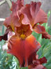 DSC04656
