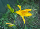 DSCF0766