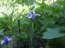 DSCF0741