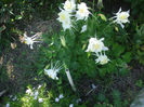 DSCF0734