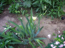 SANY0168