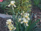 DSCN8614_4074