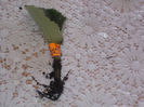 DSCN8602_4062