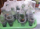 DSCN8603_4063