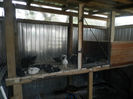P5050040