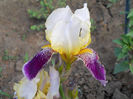 DSCN4501