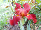 DSCN4508