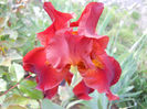 DSCN4509