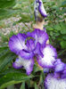 DSCN4519