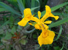 DSCN4524
