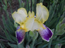 DSCN4532