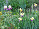 DSCN4539