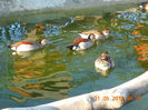 DSCN3814