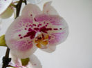 DSCN4547