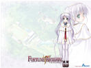 yande.re 8247 bekkankou fortune_arterial tougi_shiro wallpaper