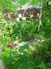 DSC05074