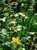 DSC05075