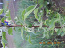 DSCN3127